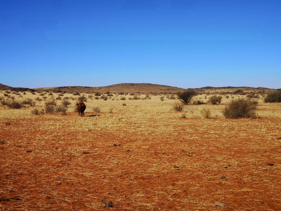 0 Bedroom Property for Sale in Upington Rural Northern Cape